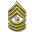 Top Sergeant Major